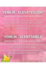 Oda kokusu Dİffuser set Egzotik Kavun Kokusu Bambu Çubuklu Özel Koku