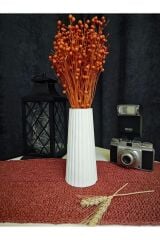 Perfingo Iskandinav Vazo Bohem Tarz Pinterest Esintisi Şık Ev Dekoru Saksı/sağlam/dekoratif